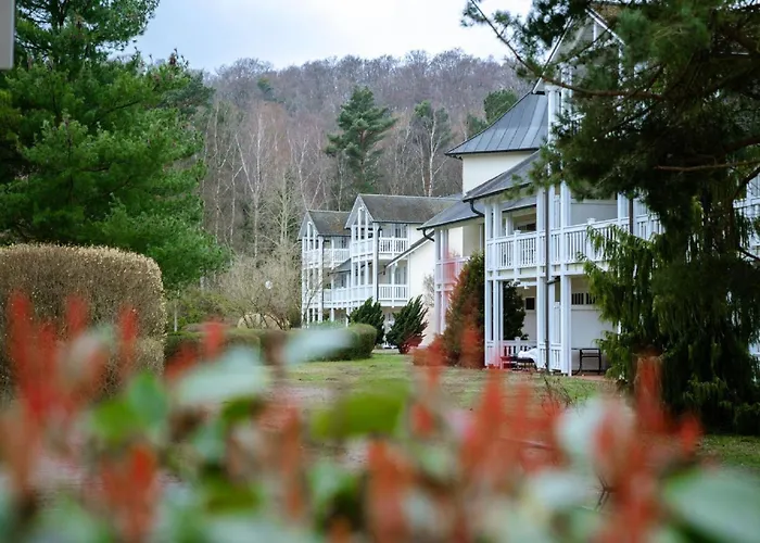 Duenenpark - Komfort Mit 1 Schlafzimmer Und Terrasse Im Erdgeschoss 220